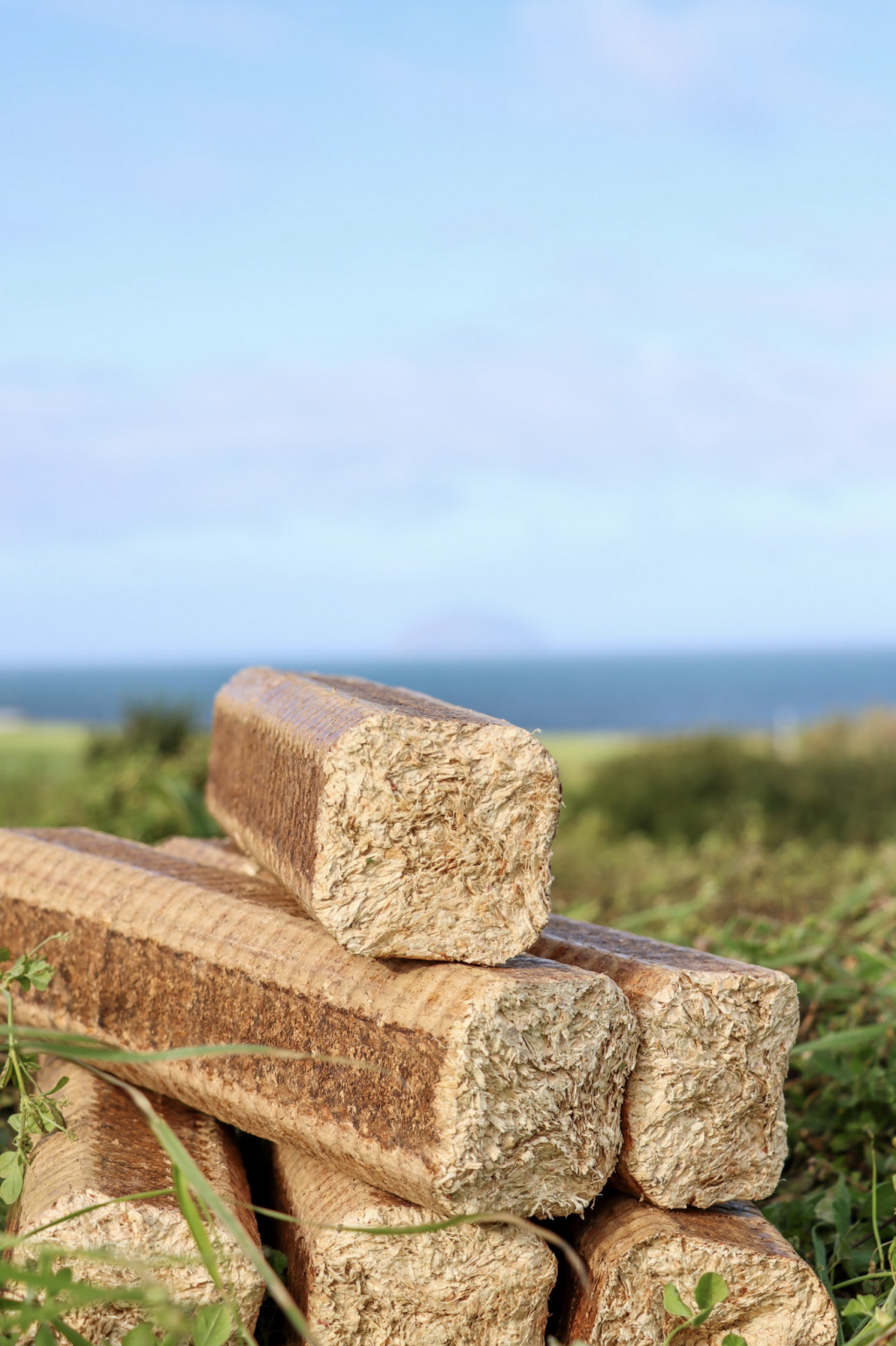 Summertime-1023x1536 Wood Briquettes Half Pallet 48x10kgs